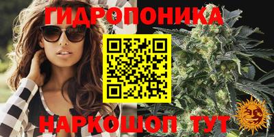 молекула духа Бузулук