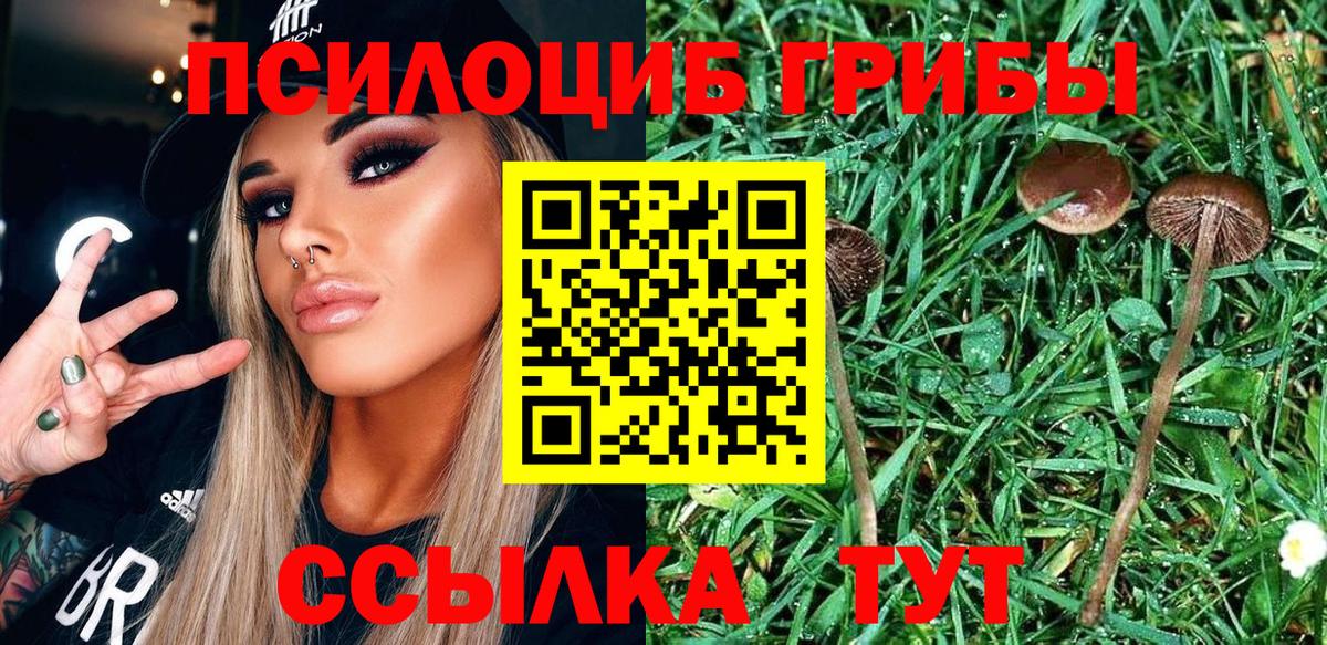 Псилоцибиновые грибы мухоморы  Вход с VPN  Галлюциногенные грибы Magic Shrooms  Малоярославец 